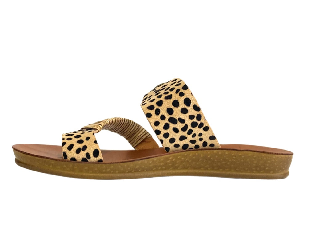 LOS CABOS Bria - Cheetah